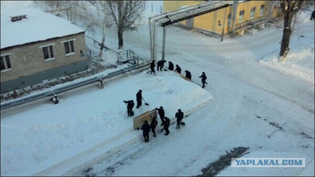 Армейский кубизм