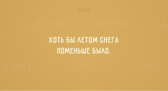 11480559.jpg