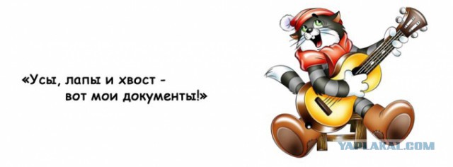 Милонов предложил ужесточить правила регистрации в соцсетях