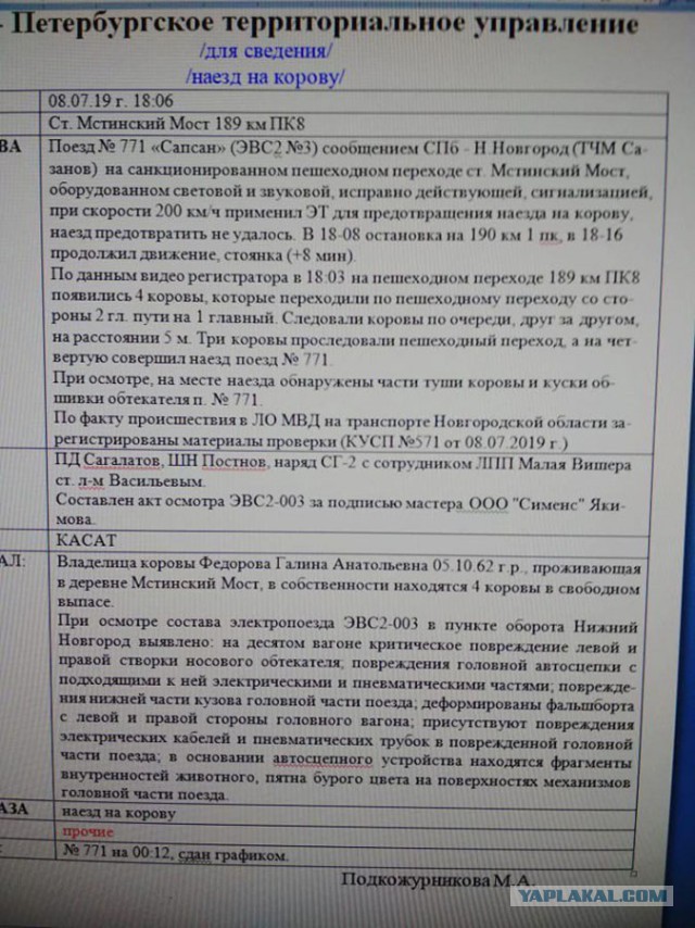 Выехавший из Петербурга «Сапсан» сбил на путях корову