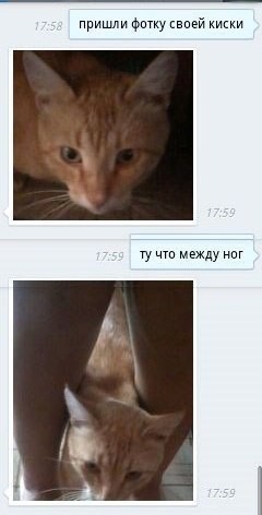 5589859.jpg