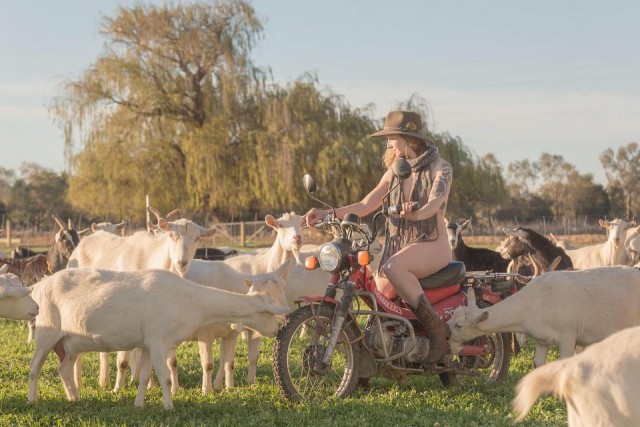 Австралийские фермерши разделись для календаря