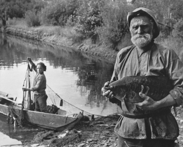 Известный советский фотограф Дмитрий Бальтерманц