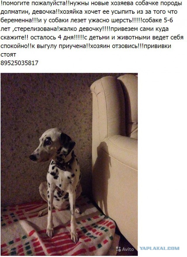 Челябинск и округа