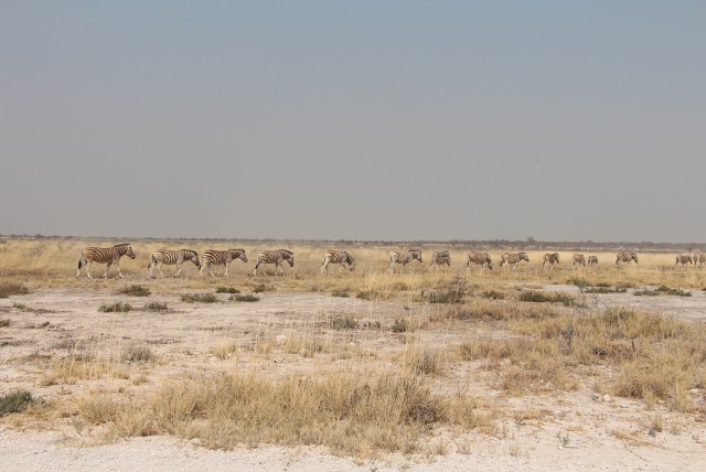 5,5 тысяч км на машине по Намибии
