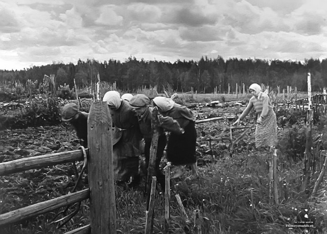 Берлинская операция. Апрель - май 1945 года.