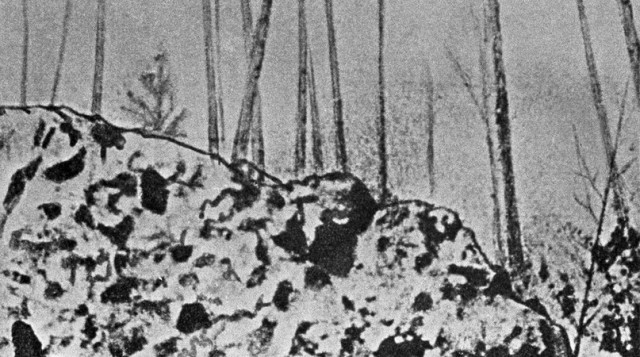 110 лет со дня падения Тунгусского метеорита