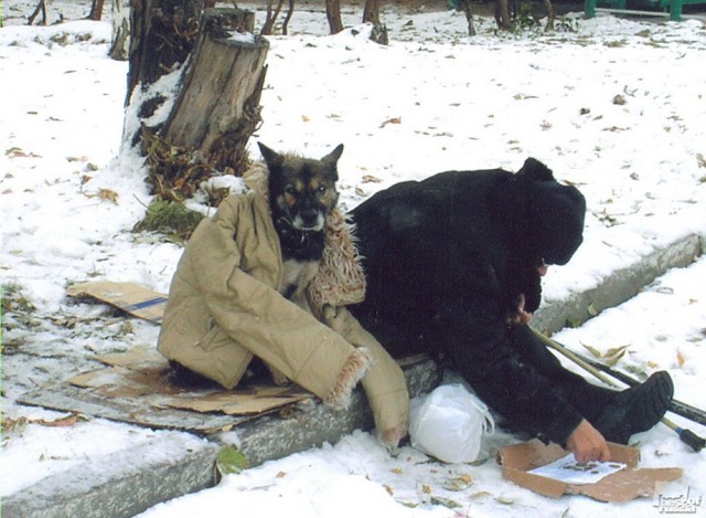 Россия в фотографиях (76 фото)