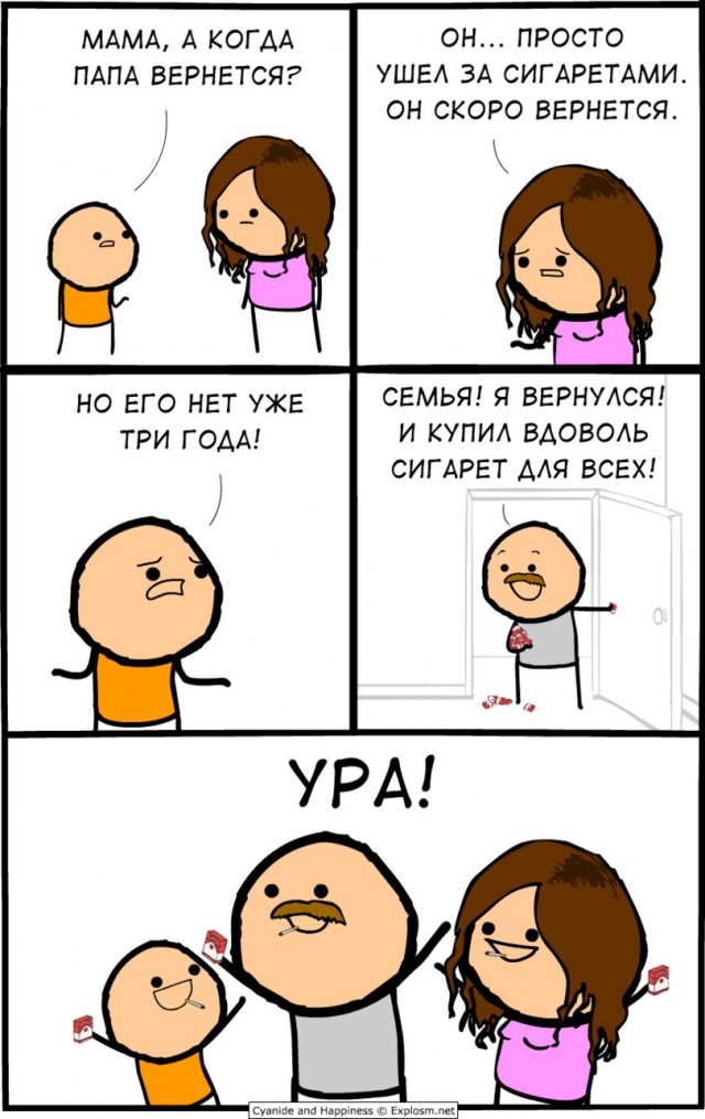 11339969.jpg