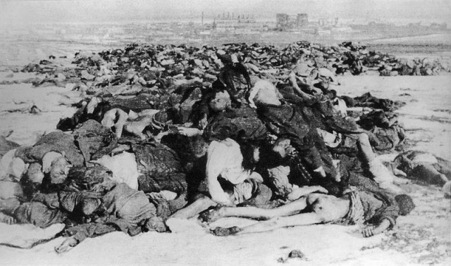 «Ампутация проведена под крикоином». Медицина в Сталинградской битве
