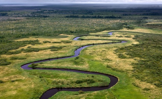Большое Васюганское болото - природный феномен, не имеющий аналогов в мире!