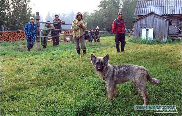 В аэропорту Якутск будет установлена скульптура.