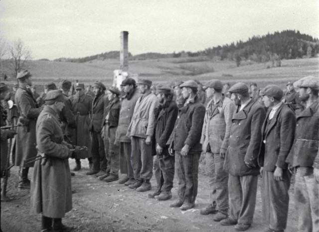 Операция "Висла". Окончательное решение украинского вопроса в Польше.1947 год