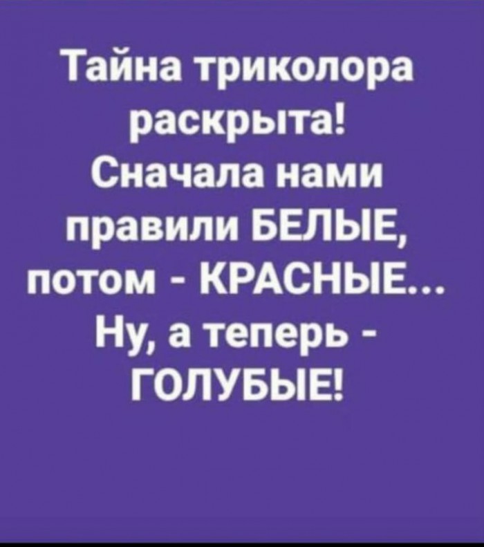 13485779.jpg