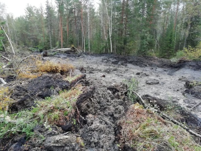 Проснулся грязевой вулкан: учёные объяснили сход земли на Южном Урале