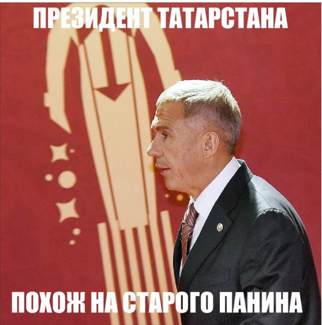 11240979.jpg