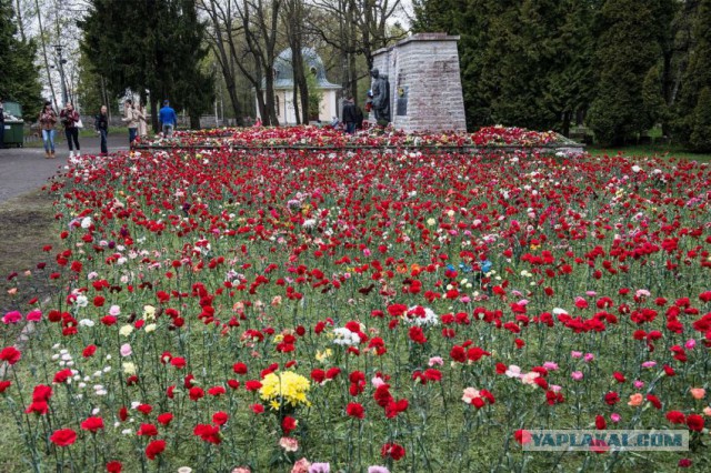 День Победы в Таллине