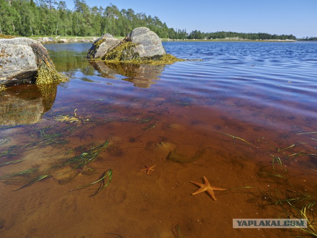 Карелия. Белое море.