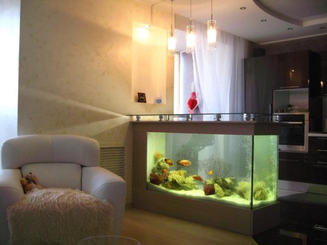 Как купить аквариум по цене новой квартиры