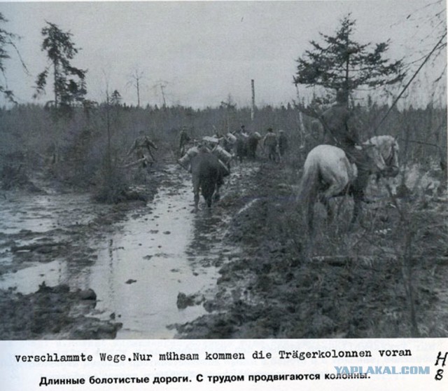 Фото с мест Волховской битвы (Вермахт)