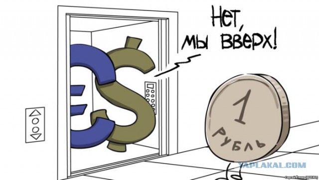 4459689.jpg