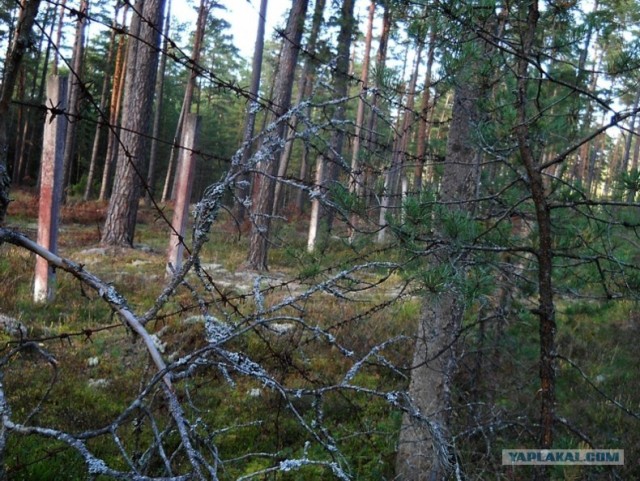 Прогулка по заброшенному военному полигону