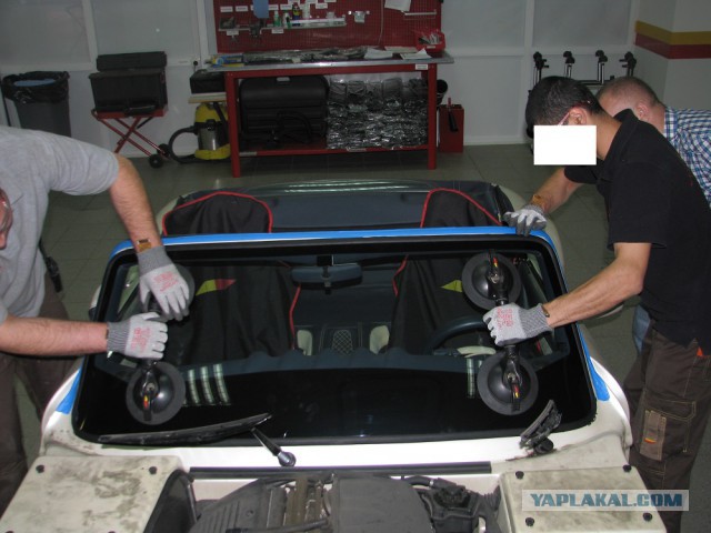 3361989.jpg