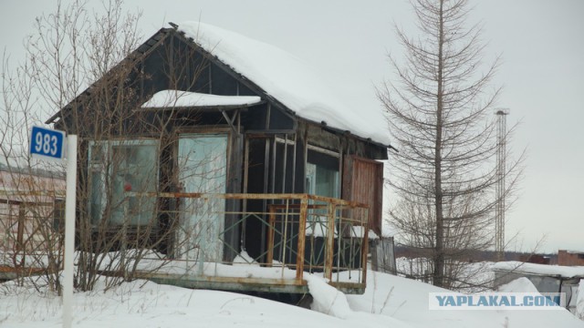 Новый Уренгой-Надым, покатушки  в выходные на День Оленевода