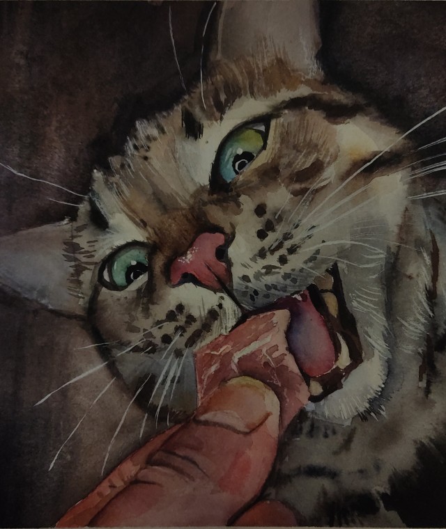 Рисунки котов и кошек  акварелью