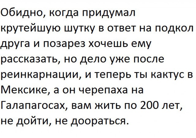 9633299.jpg