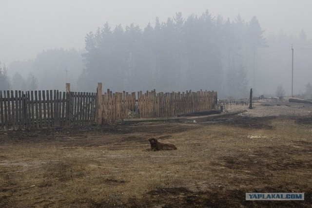 Все, что осталось от села Криуша