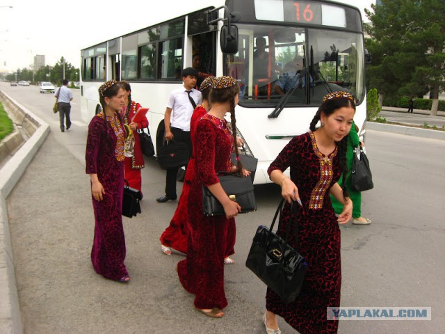 Туркменские власти запретили женщинам водить автомобили