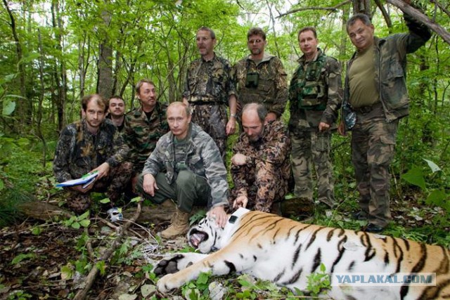 Валим отсюда, Шарик! Сбрендил наш хозяин!