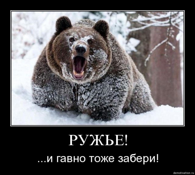 Что делать, если вы встретили медведя. Инструкция в дальневосточном отеле