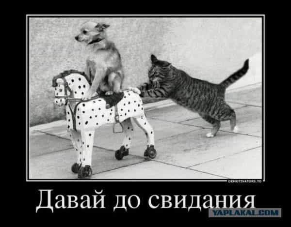 Анонсирована новая пенсионная реформа