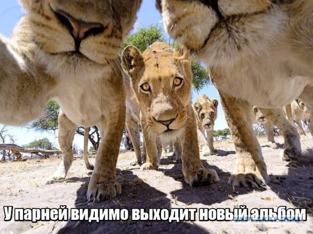 Нестандартный юмор