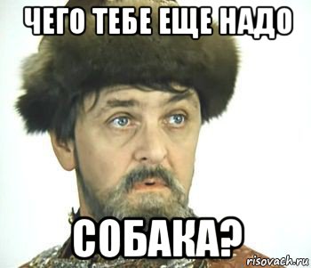 «Я звезда и в России мне ничего не будет»: Актера Панина сняли с рейса  Стамбул - Москва за пьяный дебош