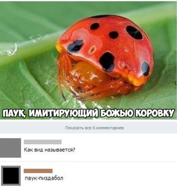Бредзона картинок 20.11.2019