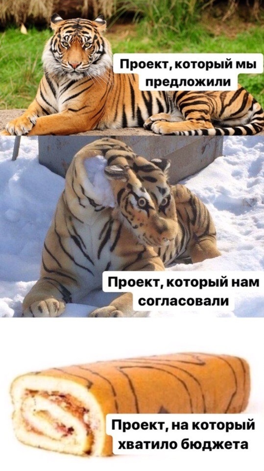 Мамкины дизайнеры в восторге!