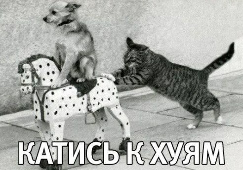 Кому невеста нужна?