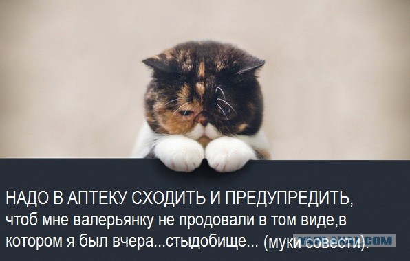Кроха