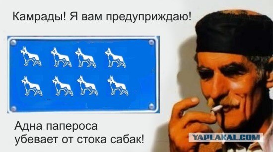 Фотожаба: Десять черногорских заповедей