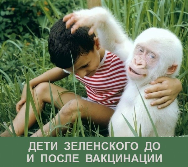 Мемасики от Димасика - Часть 5