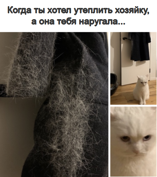 Так себе картинки 21.04.21