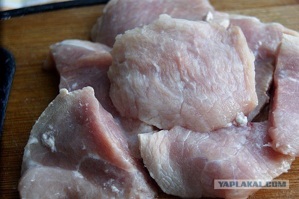 International одной книги., В память о Дженибеке.