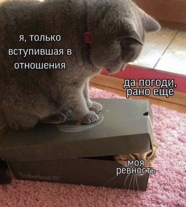 Картинки и мемы для настроения 02.11.2021