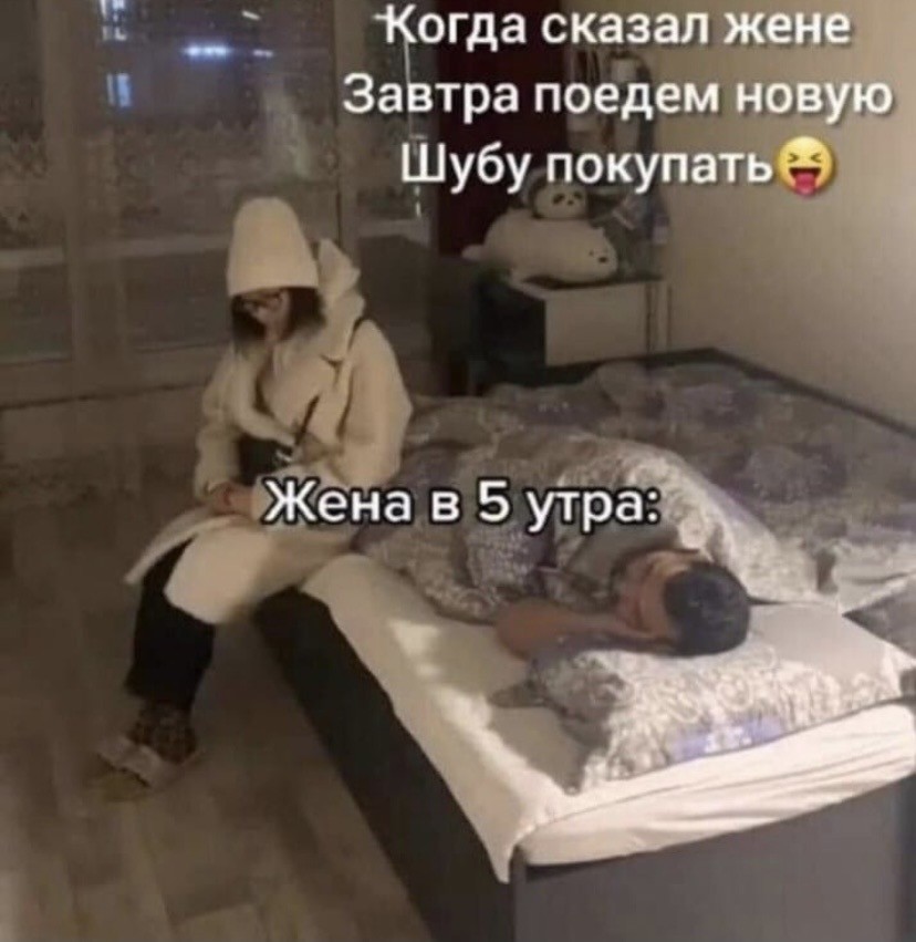 16245000.jpg