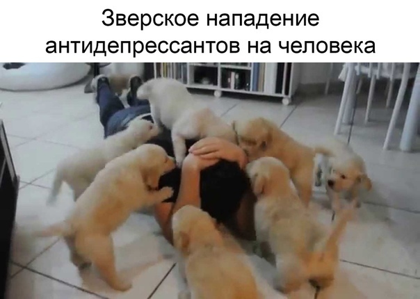 Так себе картинки 20.04.22