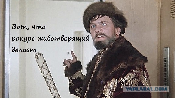Лучшая фотография года