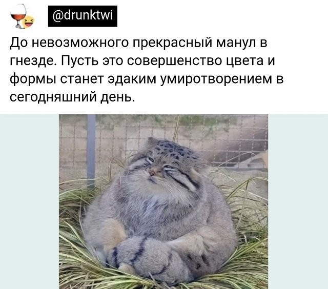 Немного картинок для настроения - 119